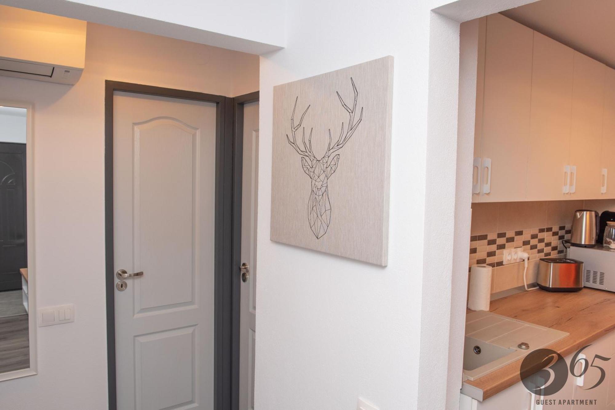 365 Guest Apartment 후네도아라 외부 사진